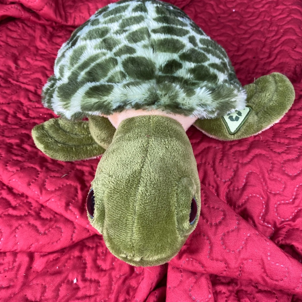 Green Plush Turtle Toy